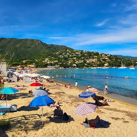 T2 A Saint Clair, Pres De La Plage, Avec Parking, Ideal Pour 4 - Fr-1-803-95 شقة *